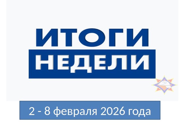 Фото новости