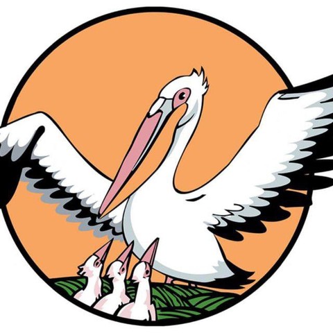 Фото новости