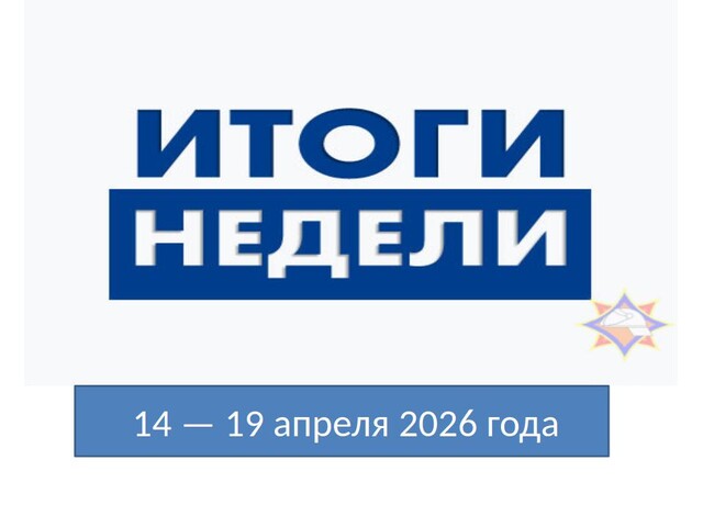 Фото новости