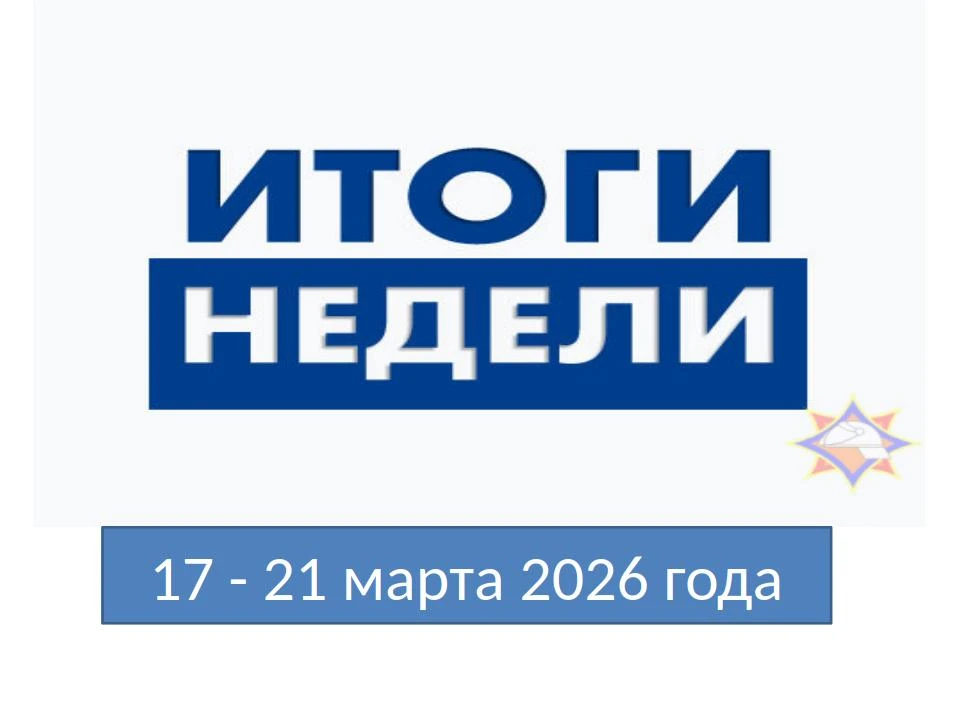 Фото новости