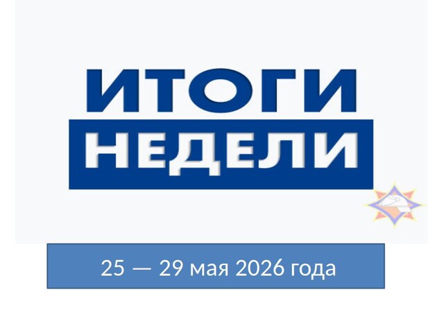 Фото новости
